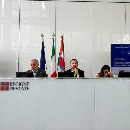 “Troppo asfalto, il Piemonte ha bisogno di verde”: la Regione stanzia 20 milioni per corridoi e boschi verticali Condividi Facebook Twitter Print WhatsApp