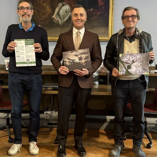 &quot;Una Rinascita nel Bosco&quot;: al Museo Faraggiana Ferrandi la mostra di Luca Tresoldi