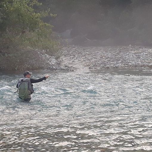 Licenza di Pesca di tipo B: nuove modalità di pagamento