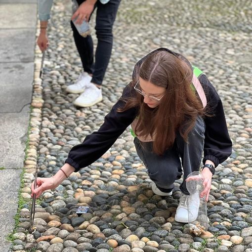 Pulizia mozziconi in centro? Novara Green c'è!