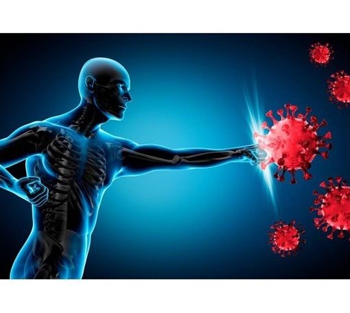 Scopri come rafforzare il sistema immunitario