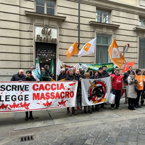 “Basta regali ai cacciatori”: rivolta ambientalista contro la caccia a due specie in via d’estinzione. FOTO E VIDEO