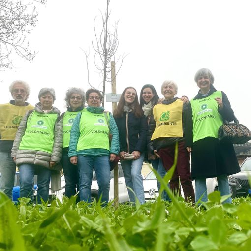 Novara Green e Legambiente promuovono la riforestazione cittadina