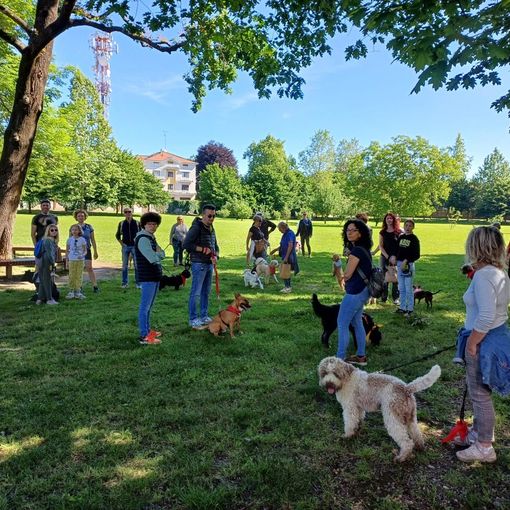 Successo per la &quot;Passeggiata a 6 Zampe&quot; a Borgomanero