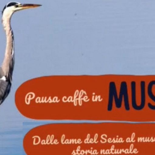 Esplorando il Museo: &quot;Pausa caffè&quot; tra le Curiosità