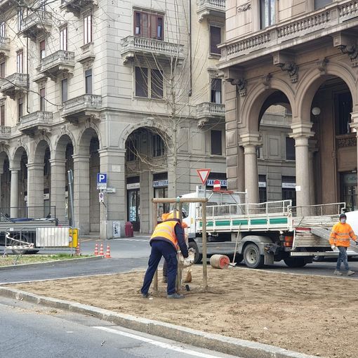 A Novara saranno messi a dimora 420 alberi