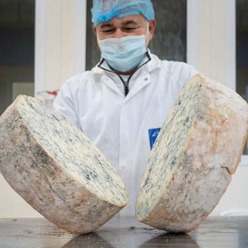 Gorgonzola Dop:  oltre 2 milioni di forme esportate nel 2023