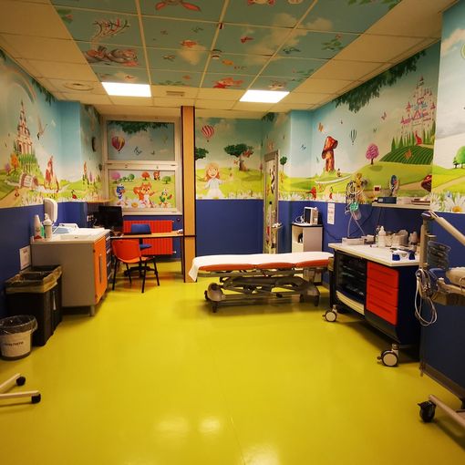 Due doni artistici per l’ospedale SS Trinità di Borgomanero