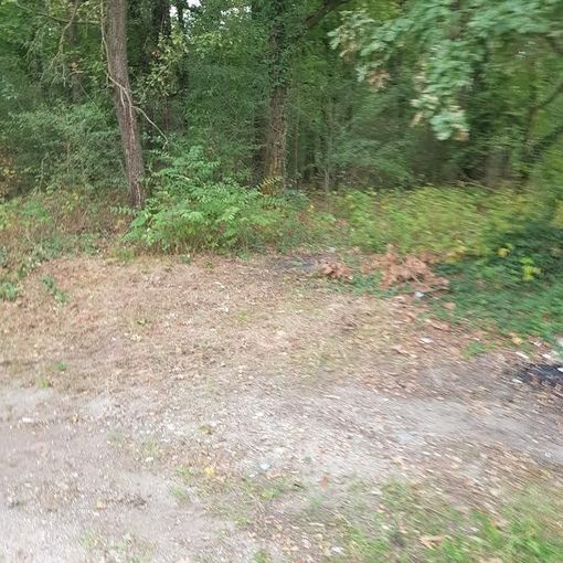 Trecate, ripulita la ex colonia del Parco del Ticino