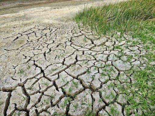 Coldiretti Piemonte lancia l'allarme: &quot;I cambiamenti climatici mettono a rischio produzione e occupazione&quot;