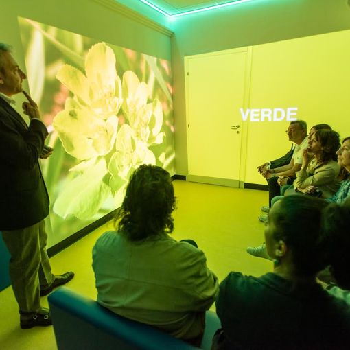 Borgomanero, inaugurata la nuova stanza sensoriale al centro diurno &quot;L'Aurora&quot;