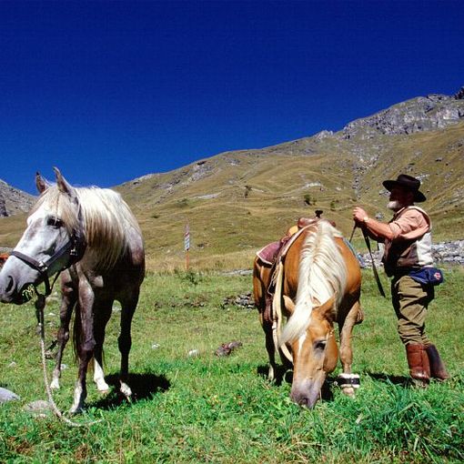 ''Con le indennità compensative boccata d’ossigeno per le imprese agricole della montagna&quot;