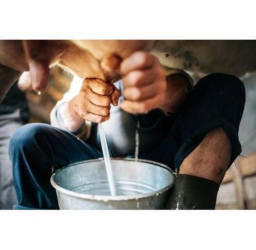 Coronavirus, la Regione propone il “Patto del Latte” per mantenere gli accordi di filiera