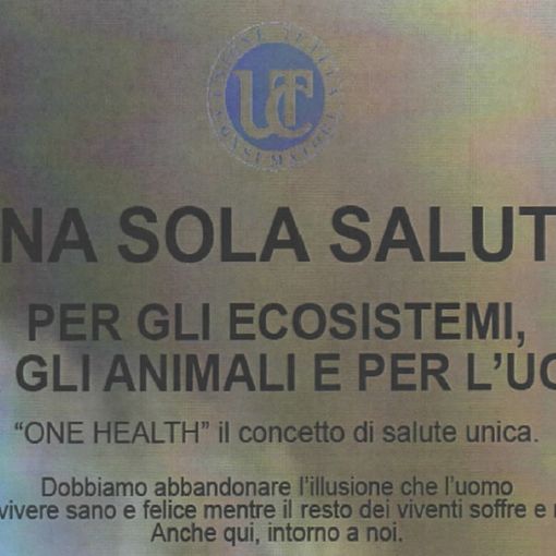 Il convegno &quot;Una sola salute&quot; per esplorare legami tra ecosistemi, animali e umanità