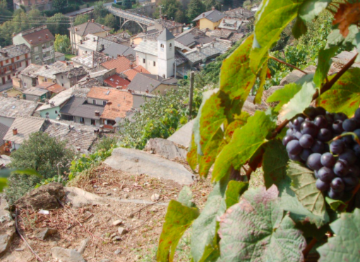 Cna e Uncem scrivono a Regione e parlamentari: “seve una ‘discriminazione positiva’ delle aree montane