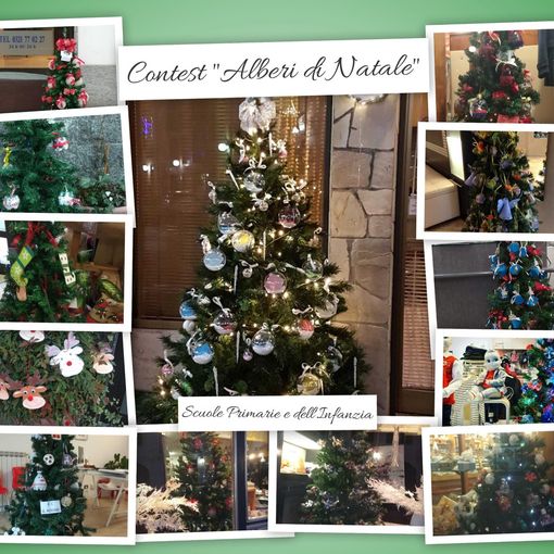 Trecate: domenica 19 gennaio la premiazione del contest “Alberi di Natale”.