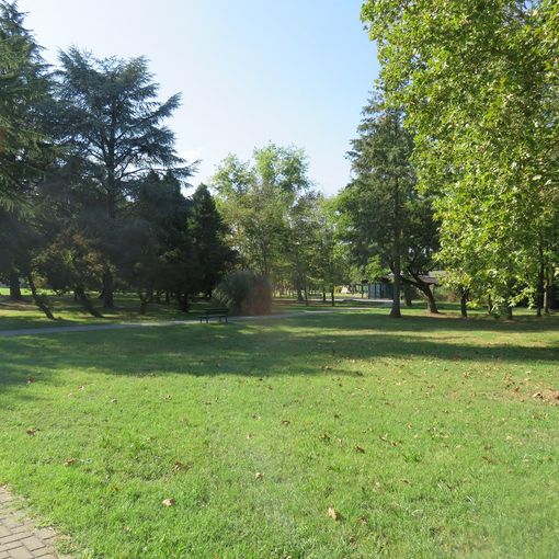 Numerosi gli interventi al patrimonio arboreo comunale nell’arco del 2019 a Trecate