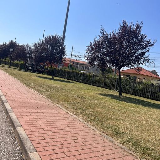 ‍Taglio dell’erba e interventi sul verde pubblco: cosi’ ha lavorato e sta lavorando l’ufficio ambiente di Trecate
