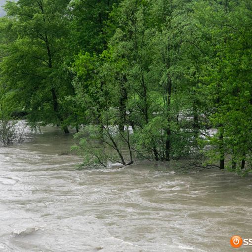 Pentenero e Avetta (PD): “Che cosa sta facendo la Giunta regionale per il dopo alluvione?”