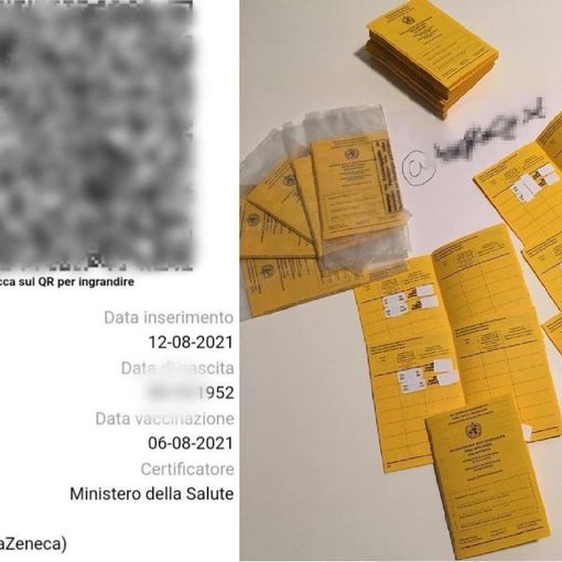 Green Pass falsi venduti su Telegram, le indagini condotte dall'ex pm di Verbania Bianca Maria Baj Macario VIDEO
