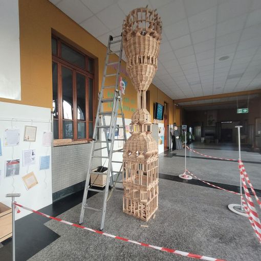 Il Curato da Raffaele Savoldi: Promozione e Divulgazione dell'Arte e dell'Opera di Alessandro Antonelli presso il Liceo Don Bosco Borgomanero