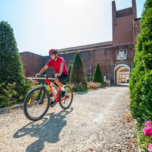Il novarese punta sul turismo sostenibile presentando le nuove ciclovie