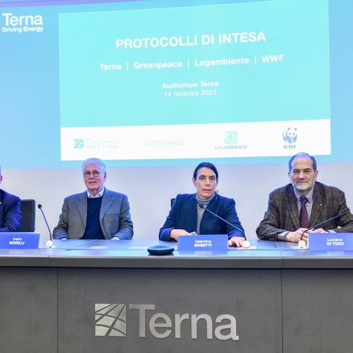 Terna: infrastrutture elettriche più sostenibili grazie all'intesa con Greenpeace, Legambiente e Wwf