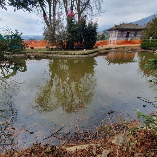 Interventi di riqualificazione per il centro recupero tartarughe invasive
