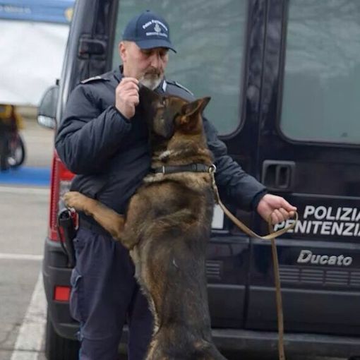Nelle carceri italiane 23 nuovi conduttori cinofili in arrivo dopo il corso ad Asti