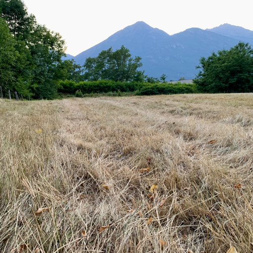 Siccità, guerra e pandemia: l'agricoltura piemontese paga già un conto da oltre un miliardo di euro