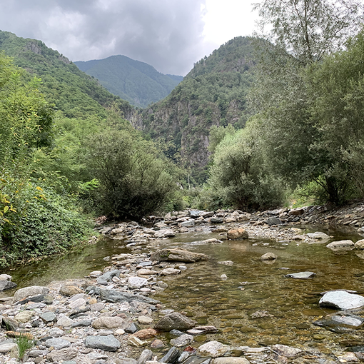 Siccità, Coldiretti Piemonte: &quot;SOS per le semine primaverili&quot;