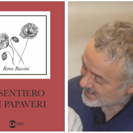 &quot;Il sentiero dei papaveri&quot;, romanzo che si ribella a facebook e agli smarthphone