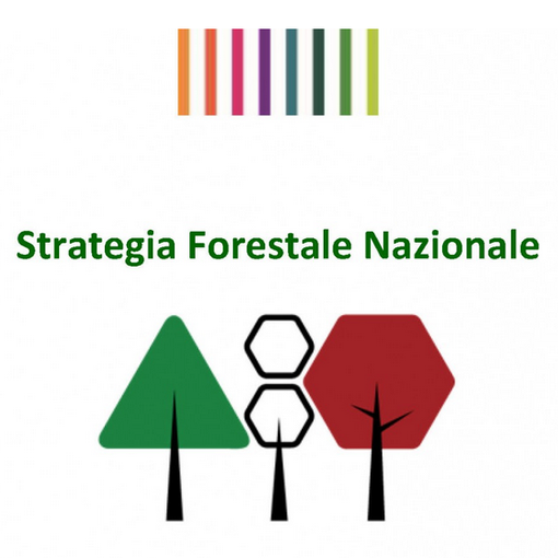 “Strategia Green Communities e quella forestale sono complementari”