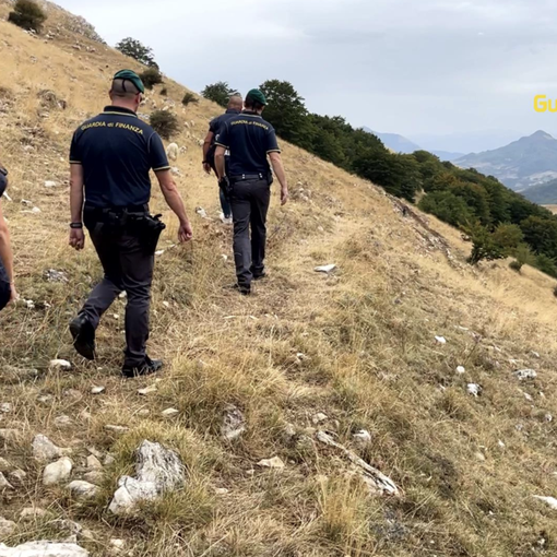 Intascavano fondi per pascoli inesistenti anche in Piemonte: 25 arresti per una truffa milionaria all'Unione Europea