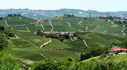 Dalla Regione 280mila euro per sostenere l’organizzazione turistica del Piemonte