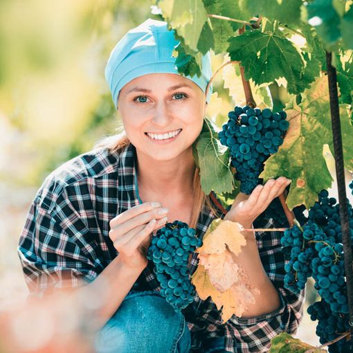 Il lago Maggiore “vetrina” per 100 donne produttrici di vino