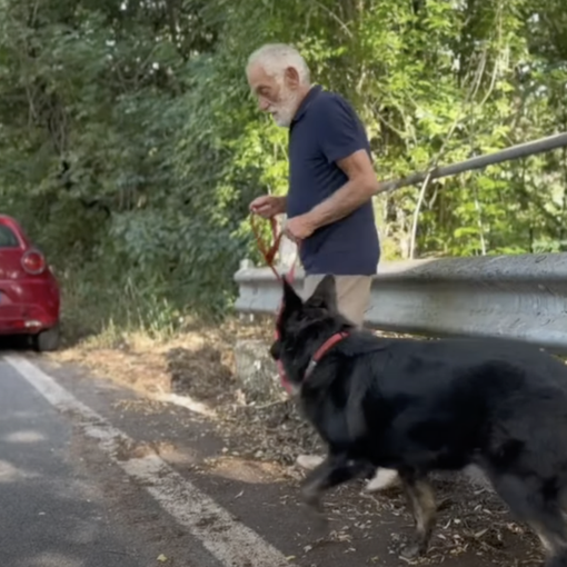Nuova campagna della Polizia contro l'abbandono degli animali: #lamiciziaèunacosaseria
