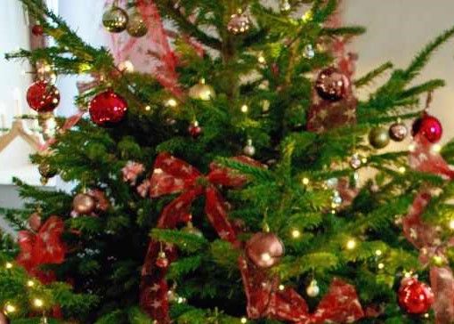 Per le scuole piemontesi il Natale non è finito: c'è tempo fino al 20 gennaio per partecipare al concorso fotografico della Regione