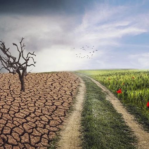 Cambiamento climatico, a fine aprile un bando della Regione da 12 milioni e mezzo di euro
