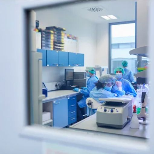 Covid Piemonte, oggi registrati 10.976 contagi e tre decessi