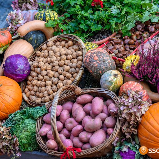 Coldiretti: “Per Halloween ha trionfato la zucca, dalla tavola all’intaglio&quot;