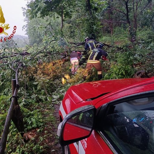 Castelletto, auto esce di strada sulla provinciale 30