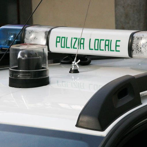 Macabro ritrovamento a Cameri: sacchi con resti di animali mutilati