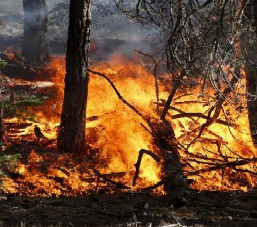 Incendi boschivi, indagine dell'Uncem per capire come vanno prevenzione e gestione dell'emergenza
