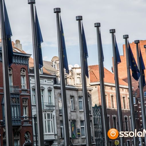 I bandi europei dell’inverno consultabili sulla guida all'Europrogettazione
