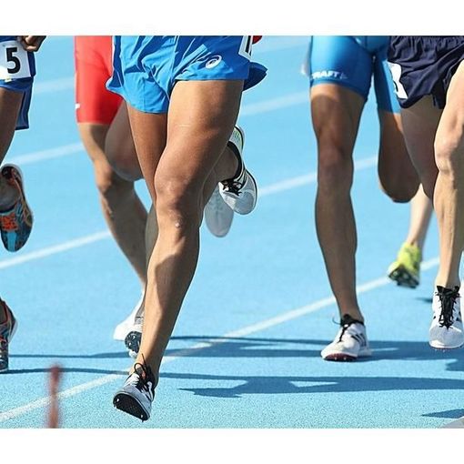 Coni chiede nuovi aiuti per lo sport piemontese