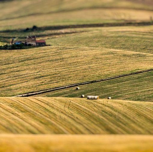 Giornata della Terra, Coldiretti: &quot;Scomparsi in Piemonte 2,4 campi da calcio al giorno&quot;