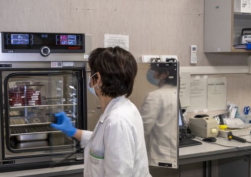 Nuove speranze per comprendere l'autismo: UniTo e Città della Salute scoprono un gene che ne è responsabile