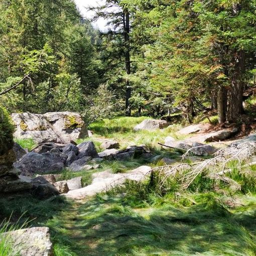 Alla ricerca del Lago Secco in Valle Anzasca