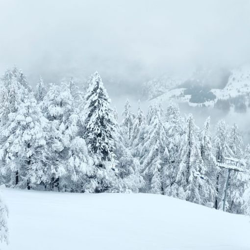Manca la neve, l'allarme di Coldiretti: &quot;Agricoltura e turismo in pericolo&quot;